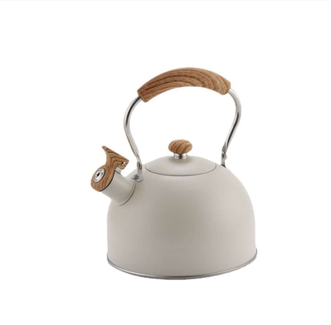 Bouilloire acier blanche