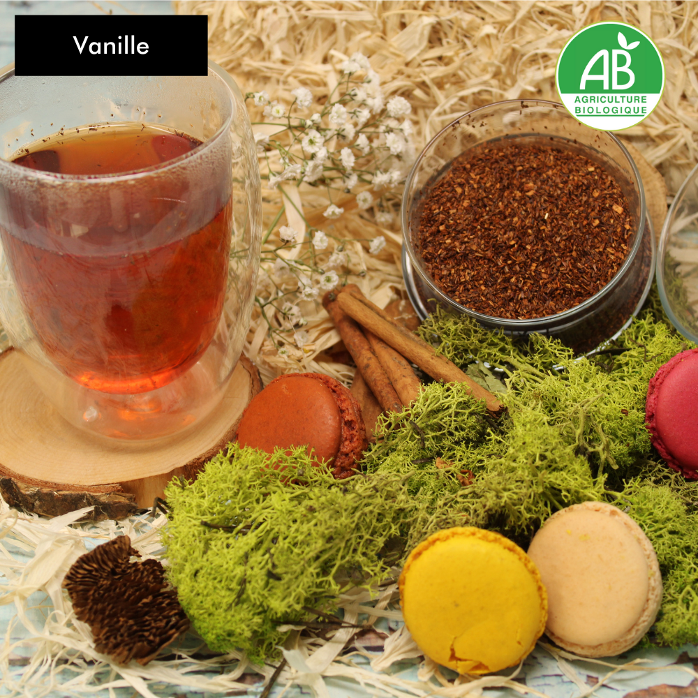 the-vanille-matsuetea