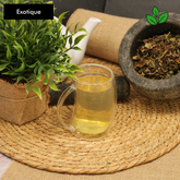 the-exotique-matsuetea