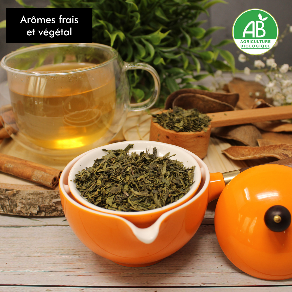 The-vegetal-matsuetea