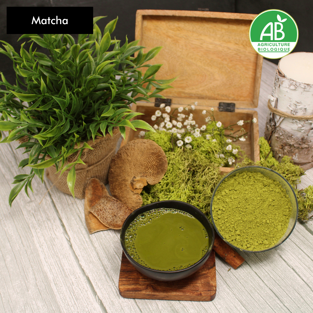 MATCHA JAPONNAIS BIO
