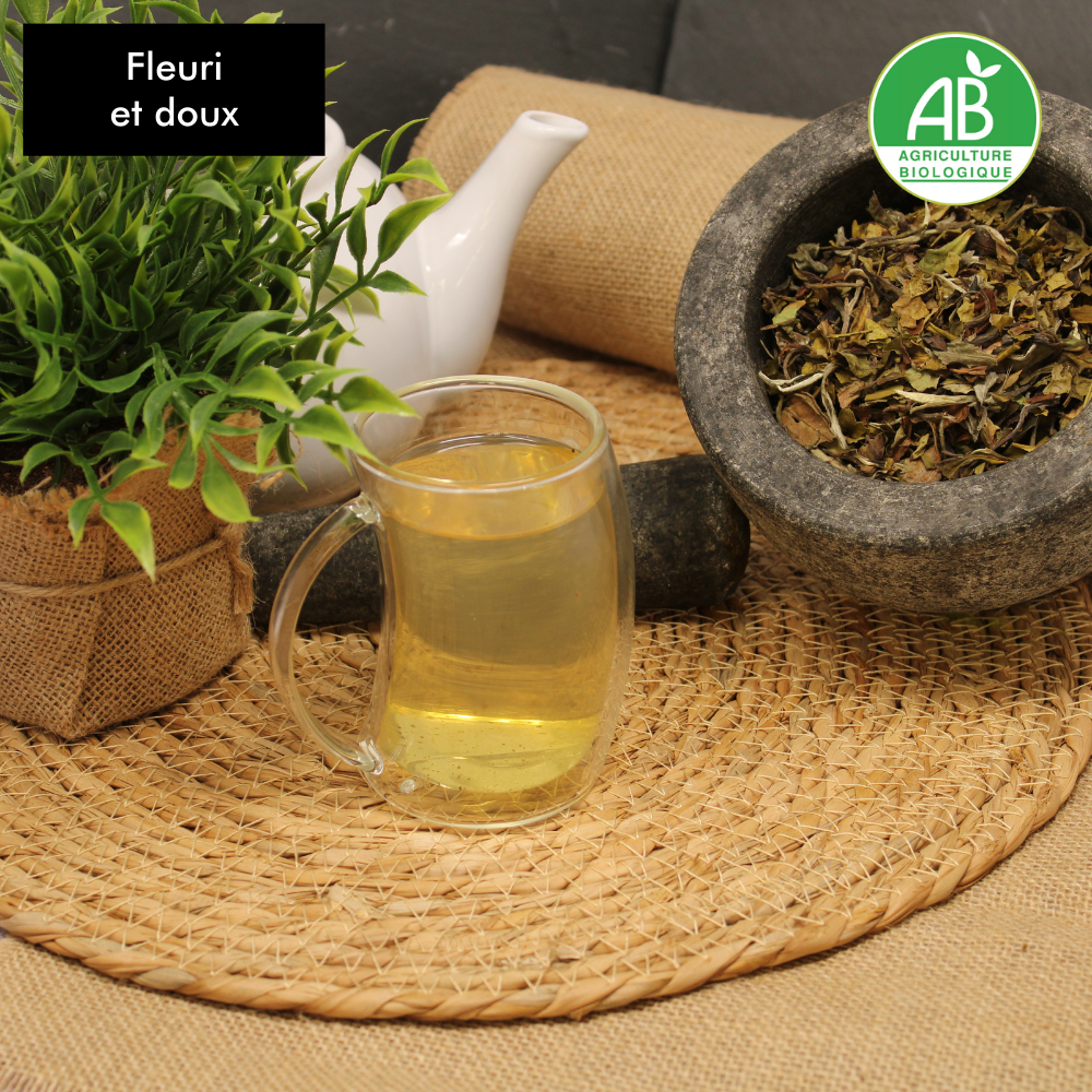 the-fleuri-matsuetea