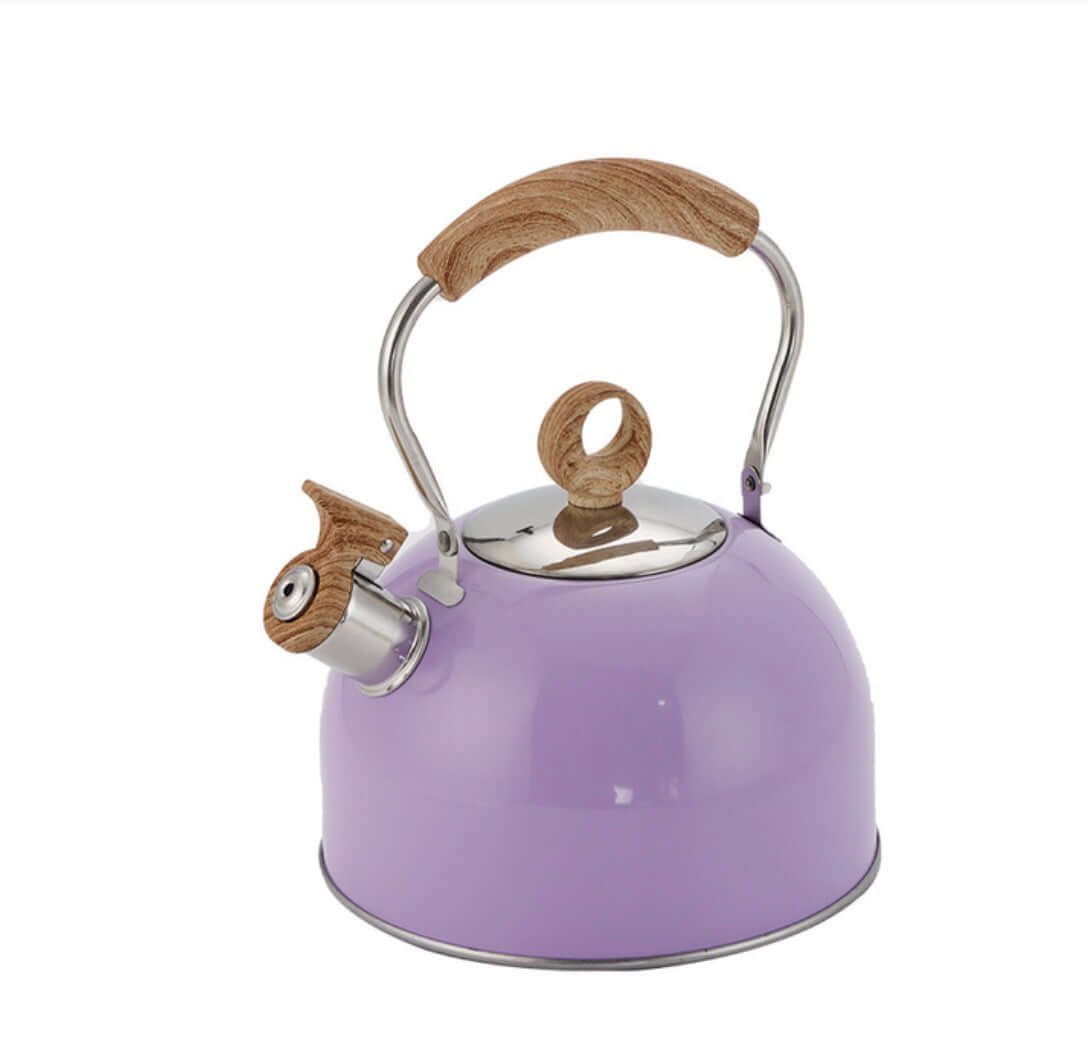 Lavender steel kettle